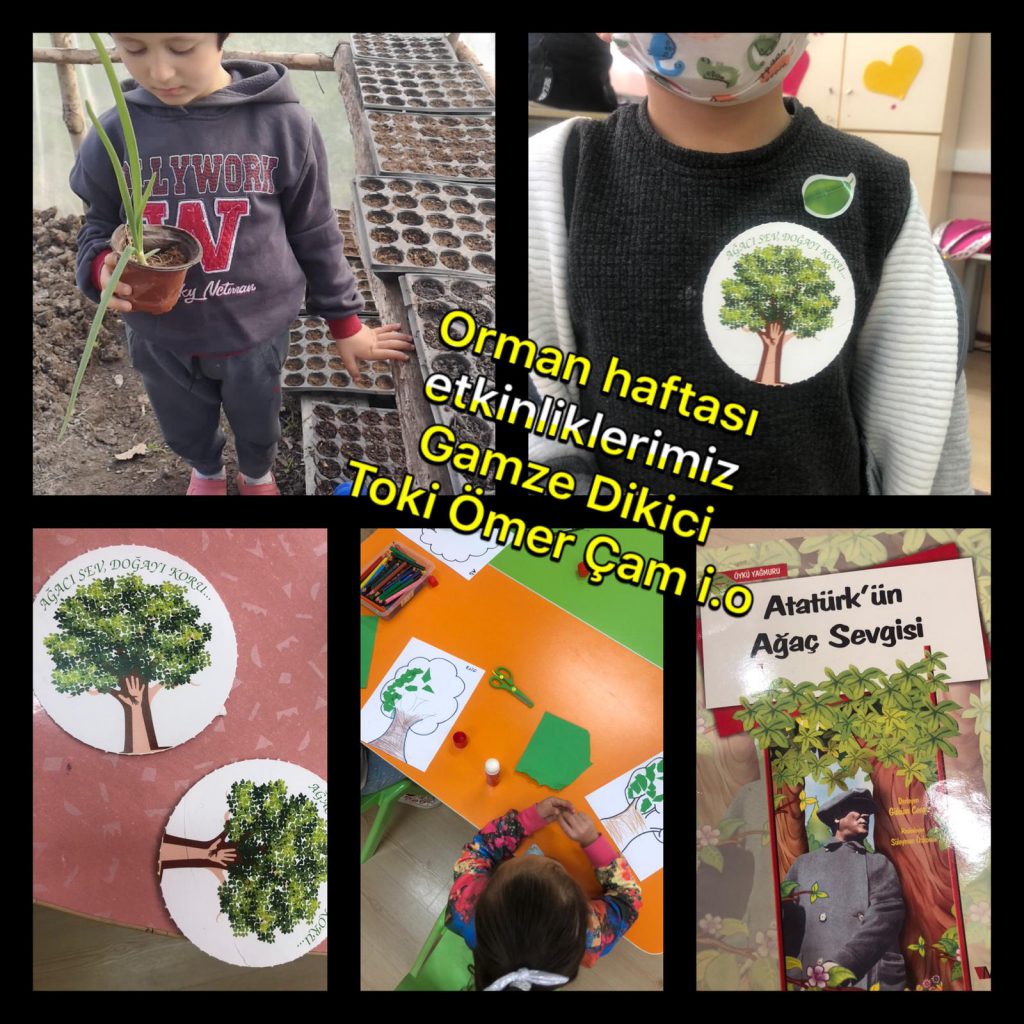 Gelecek Senin Ellerinde Projesi Müfredatla İlişkilendirme by Gelecek Senin Ellerinde - Ourboox.com