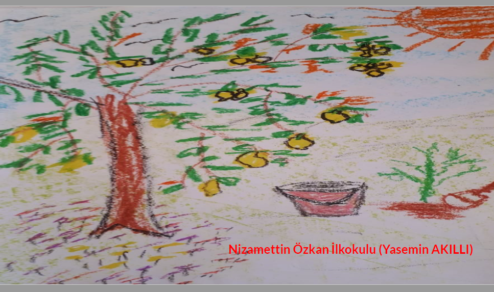 BENİM BAHÇEM ORTAK HİKAYE ÇALIŞMAMIZ by AYŞE AK - Illustrated by AYŞE YILDIRIM - Ourboox.com