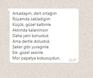 ARKADAŞIM by MERVE ŞİMŞEK - Ourboox.com