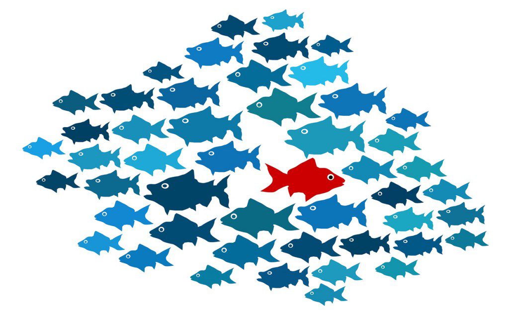 Wonder (Yasmin Kirschbaum) by Yasmin kirschbaum - Ourboox.com