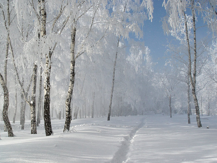 Geography by Natalia Konoplyuk - Ourboox.com