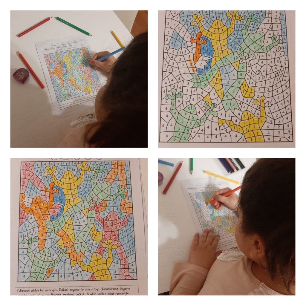 January Studies E Book Fun learning during the pandemic period-Pandemi döneminde eğlenceli öğrenme by Şule - Ourboox.com