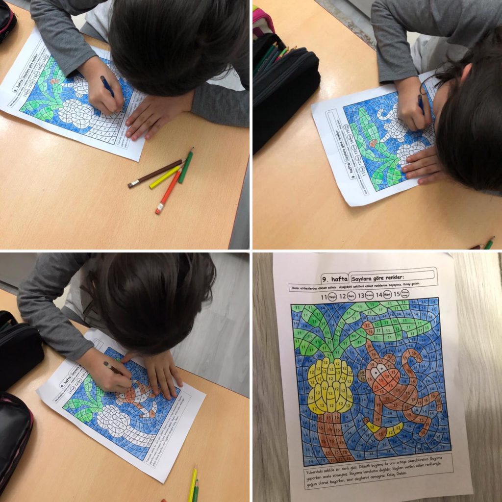 January Studies E Book Fun learning during the pandemic period-Pandemi döneminde eğlenceli öğrenme by Şule - Ourboox.com