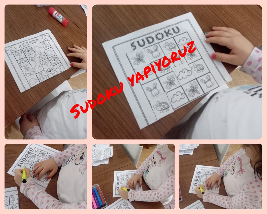 January Studies E Book Fun learning during the pandemic period-Pandemi döneminde eğlenceli öğrenme by Şule - Ourboox.com