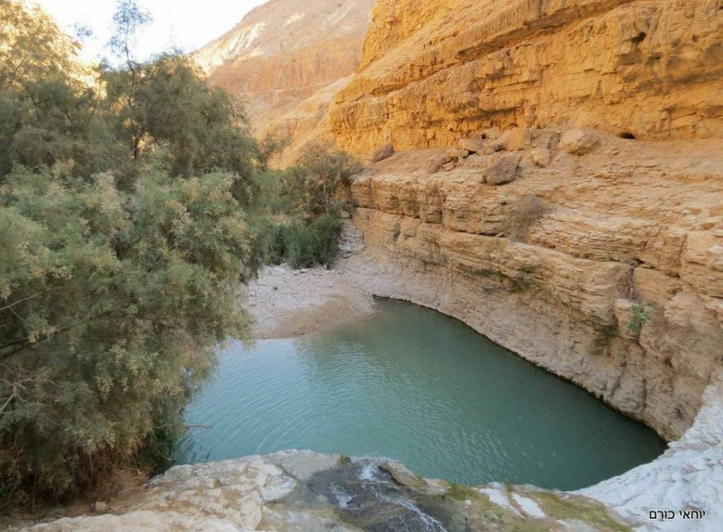 היו היה לפני שנים רבות