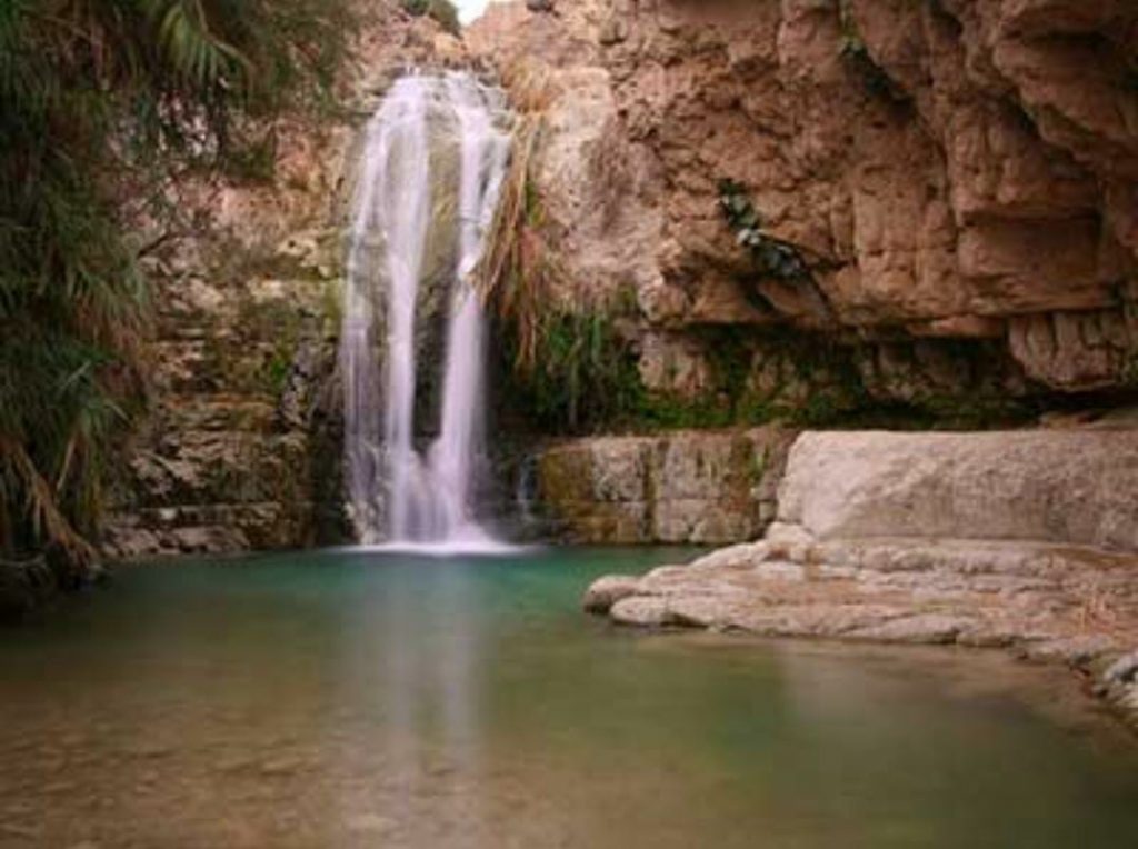 שמורת עין גדי by hadar aharon - Ourboox.com