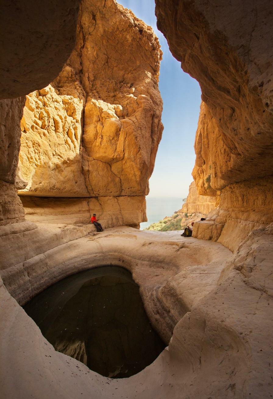 שמורת עין גדי by hadar aharon - Ourboox.com