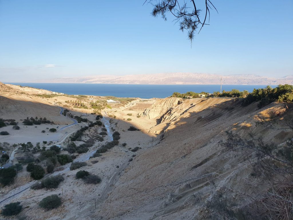 שמורת עין גדי by hadar aharon - Ourboox.com