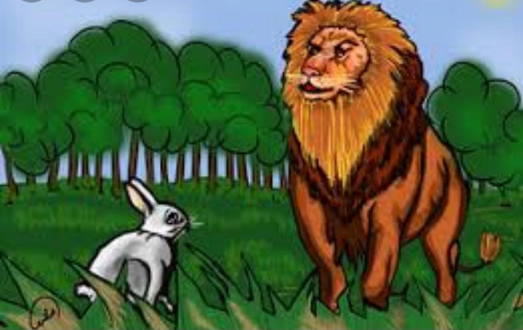 האריה והארנב by Mayada Aljboor - Ourboox.com