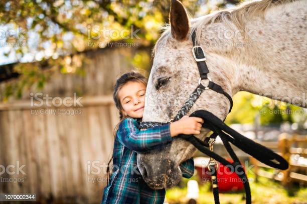 הסוס היפה של שאם by nadeen - Ourboox.com