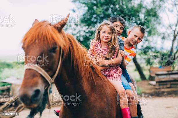 הסוס היפה של שאם by nadeen - Ourboox.com