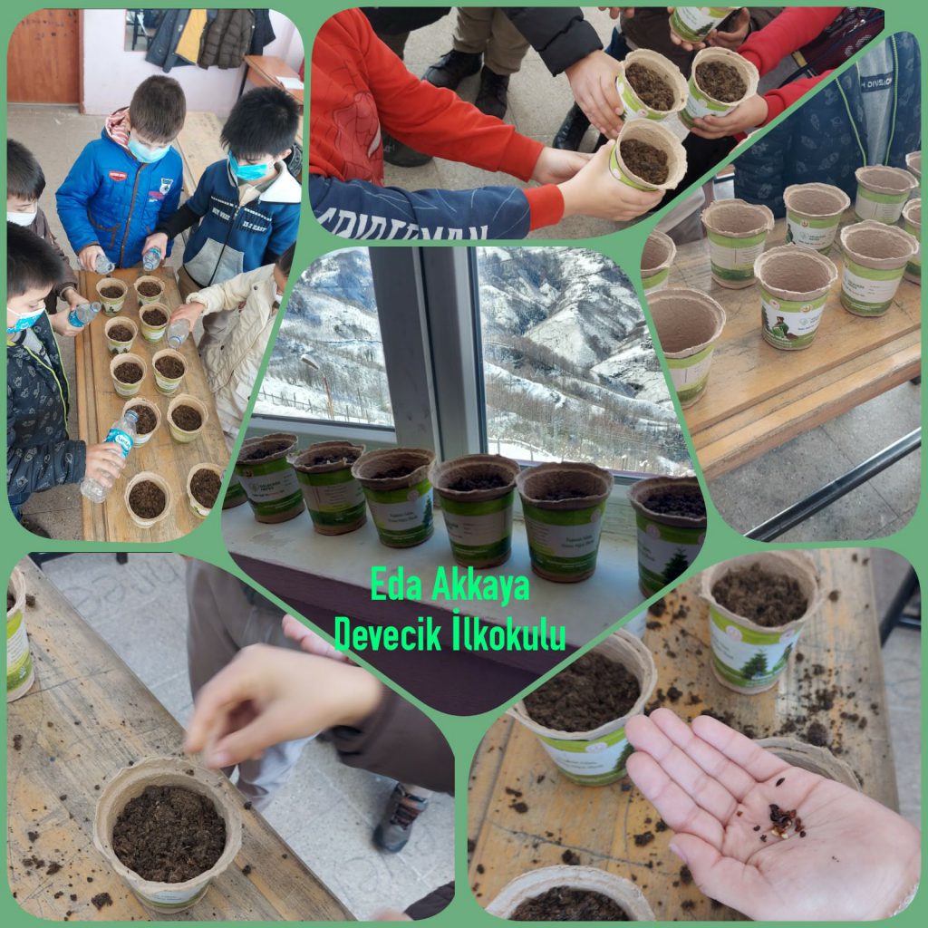 Gelecek Senin Ellerinde Projesi Müfredatla İlişkilendirme by Gelecek Senin Ellerinde - Ourboox.com