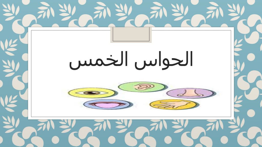 كتابي الاول by maram shehade - Ourboox.com