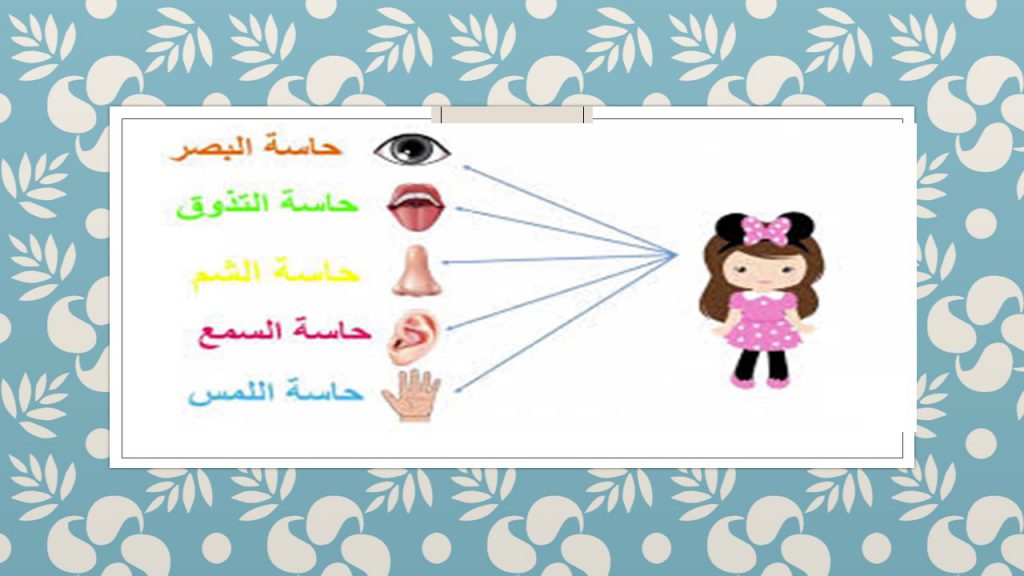 كتابي الاول by maram shehade - Ourboox.com