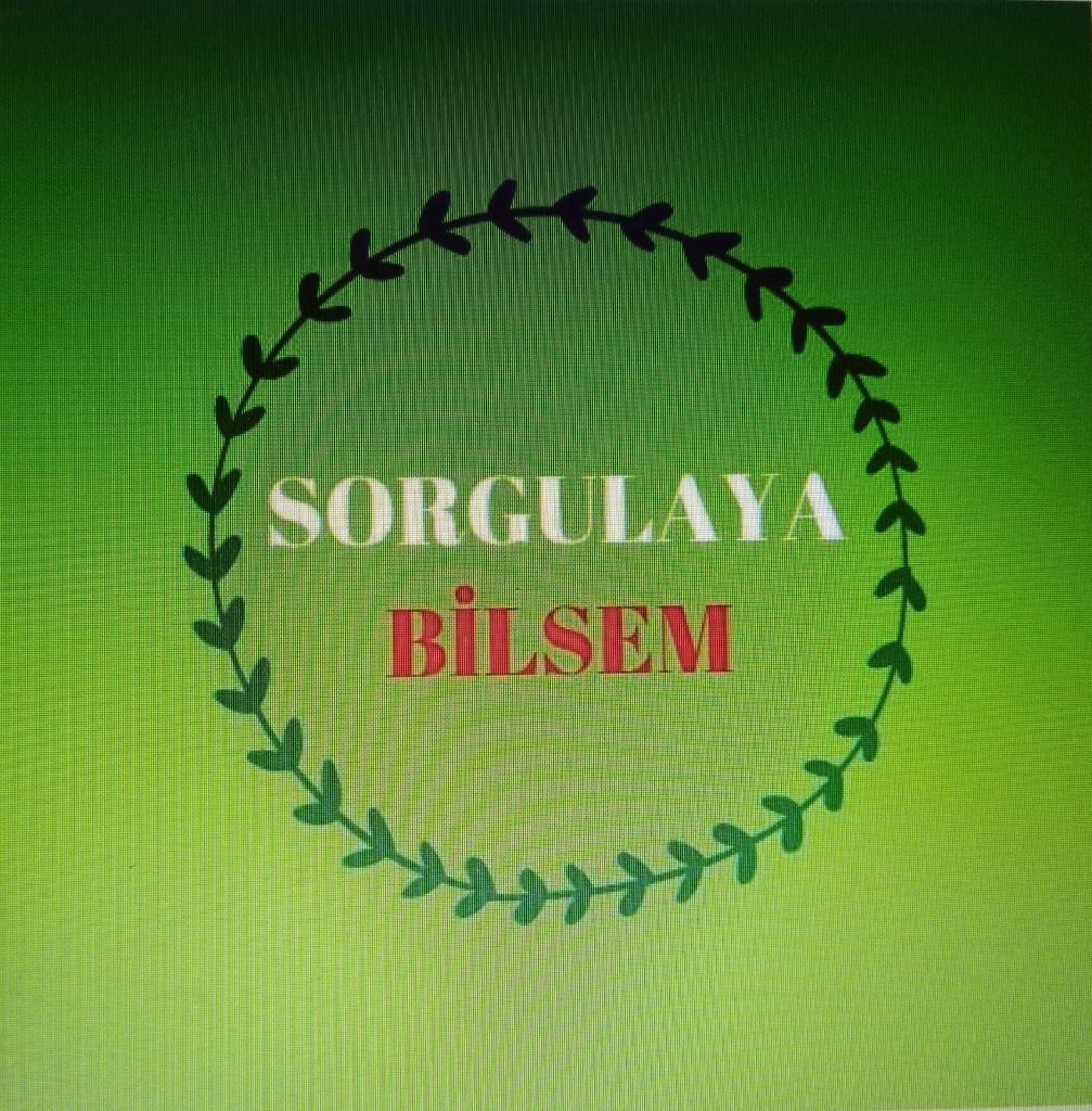 SorgulayaBİLSEM eTwinnig Projesi Öğrenci Logo Anketi Analiz Raporu by Mehmet UZA - Ourboox.com