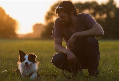 protect animals by Maria Sole Vedovato - Illustrated by Vedovato Maria Sole - Ourboox.com