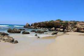 הטיול לנחל אלכסנדר וחוף בית ינאי by agat grait - Illustrated by שלי, שירי, נטלי, עמית ואגת - Ourboox.com