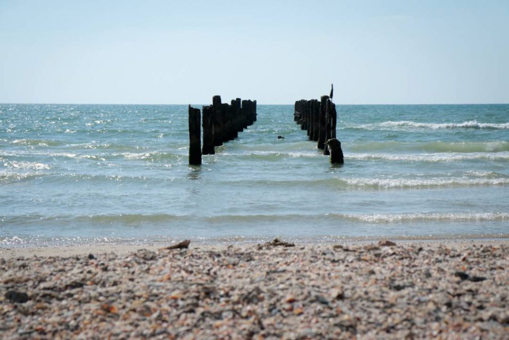 הטיול לנחל אלכסנדר וחוף בית ינאי by agat grait - Illustrated by שלי, שירי, נטלי, עמית ואגת - Ourboox.com