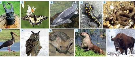 Planeta Earth by Gett Lyudmila - Ourboox.com