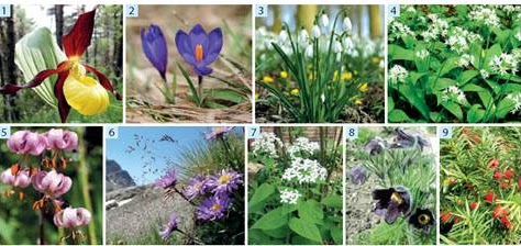 Planeta Earth by Gett Lyudmila - Ourboox.com