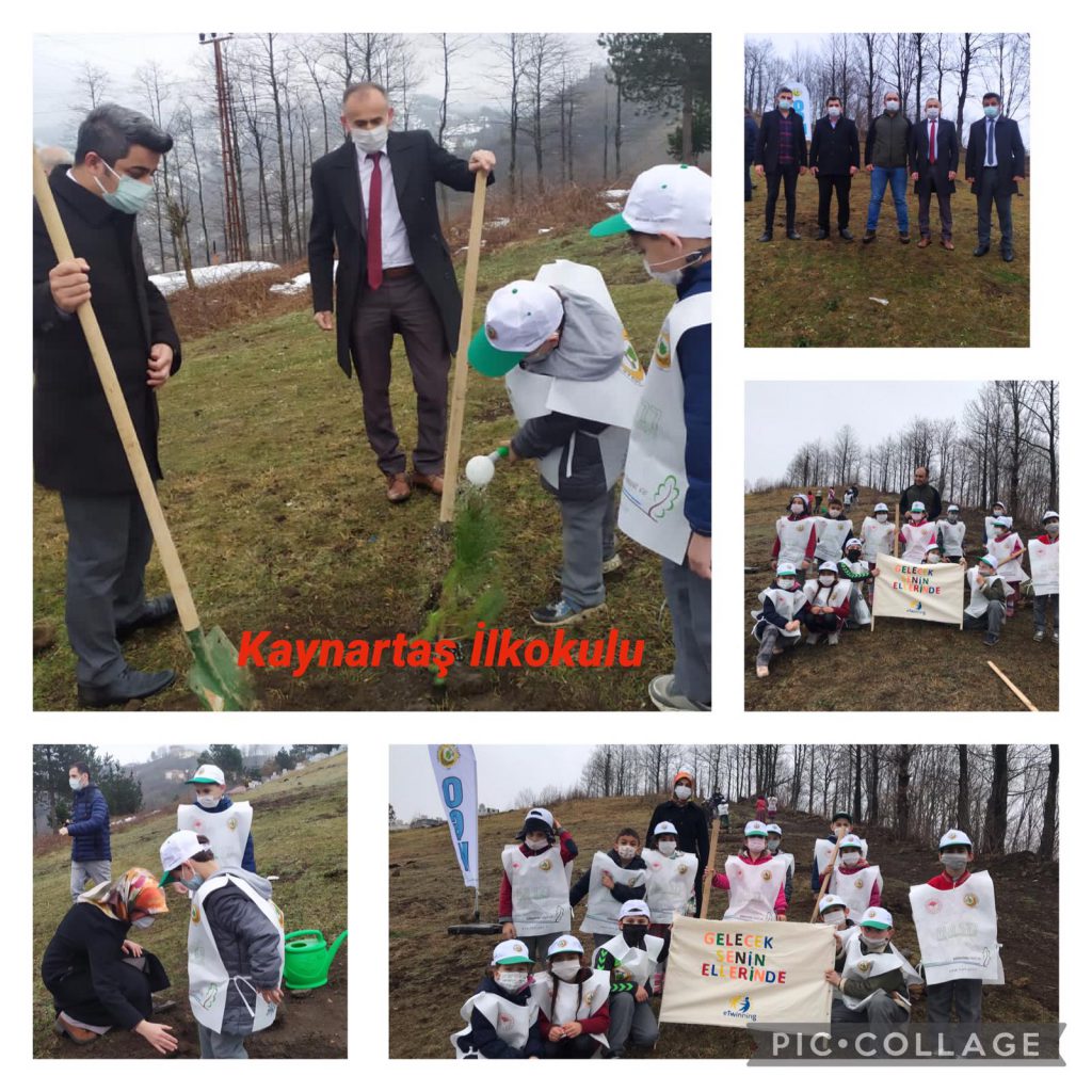 Gelecek Senin Ellerinde Projesi Müfredatla İlişkilendirme by Gelecek Senin Ellerinde - Ourboox.com