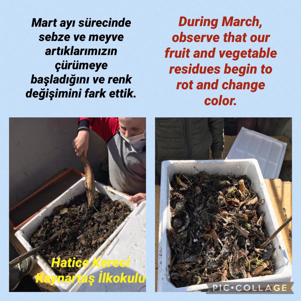 Gelecek Senin Ellerinde Projesi Müfredatla İlişkilendirme by Gelecek Senin Ellerinde - Ourboox.com