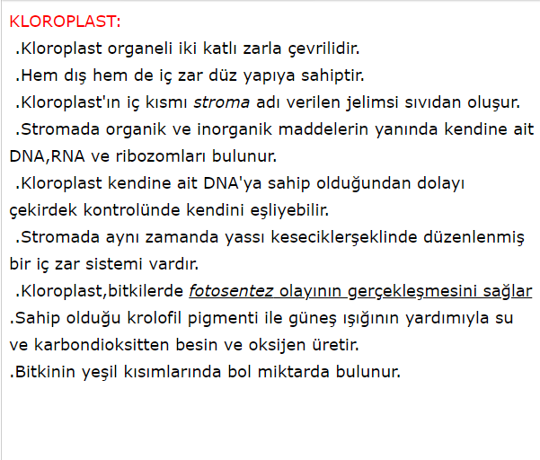 PLASTİTLER by haktan öncel - Ourboox.com