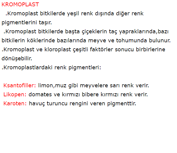 PLASTİTLER by haktan öncel - Ourboox.com