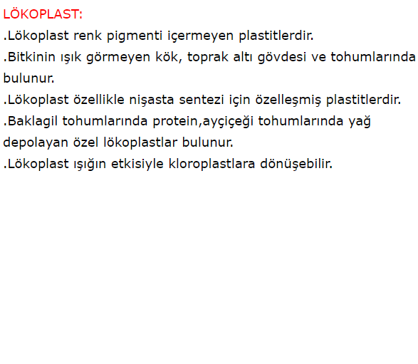 PLASTİTLER by haktan öncel - Ourboox.com