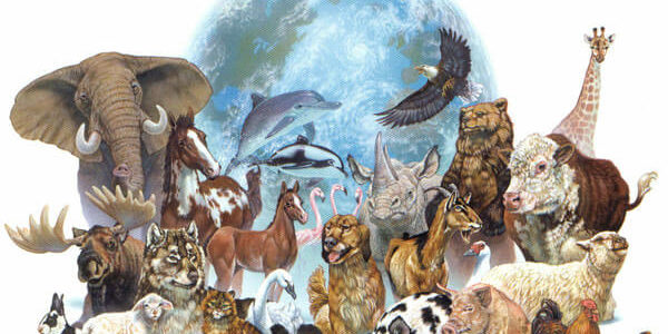 البيئة الحياتية by adamshikha - Ourboox.com