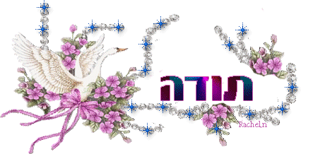 עצים by asala kaed - Illustrated by asala.k - Ourboox.com