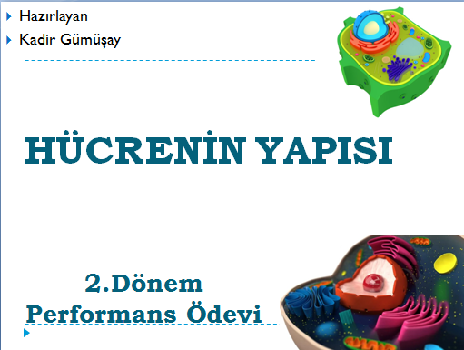 Hücrenin Yapısı by kadir - Ourboox.com