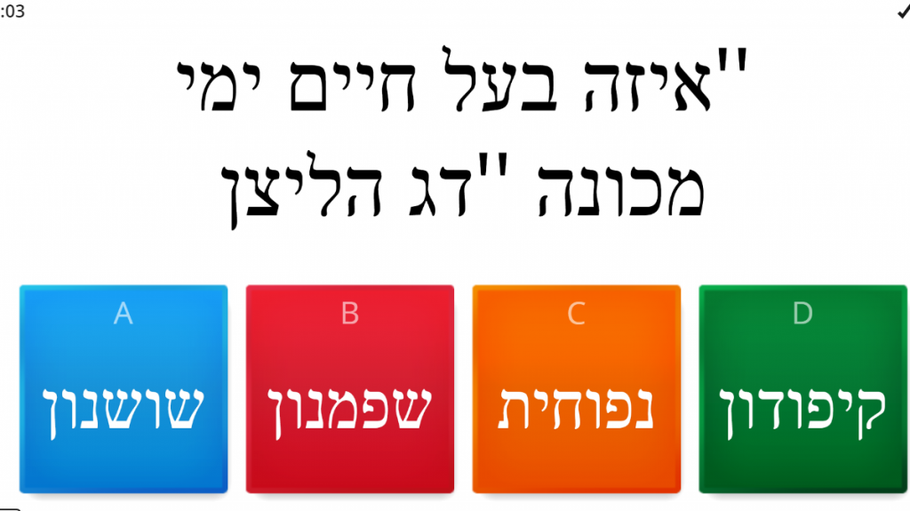 תיק עבודות by rachel - Ourboox.com