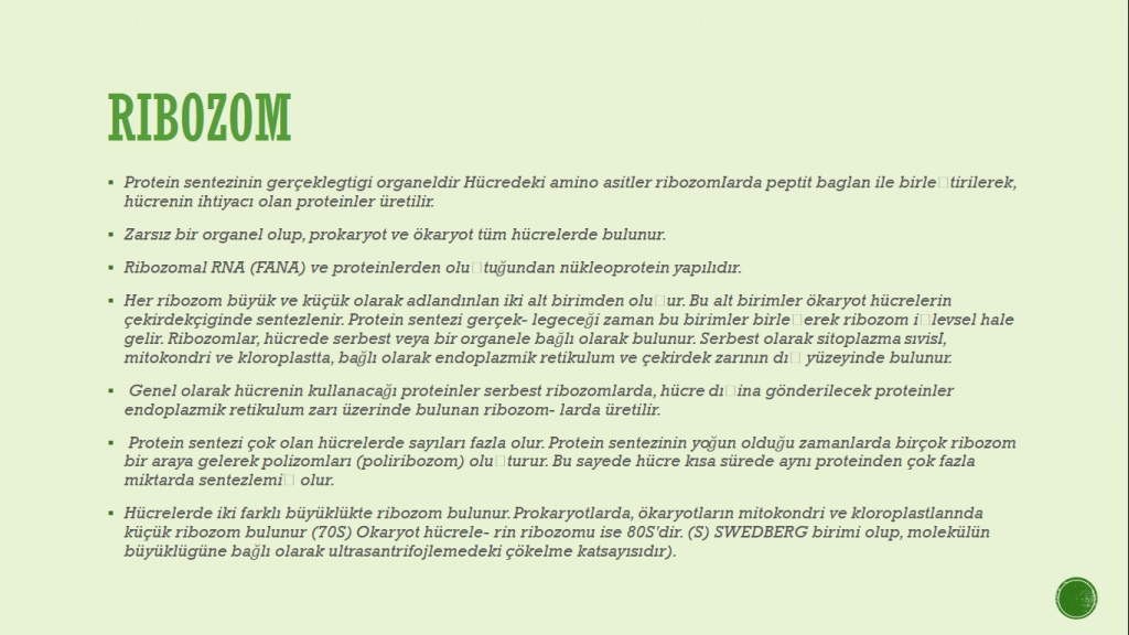 Organeller by Cansu - Ourboox.com