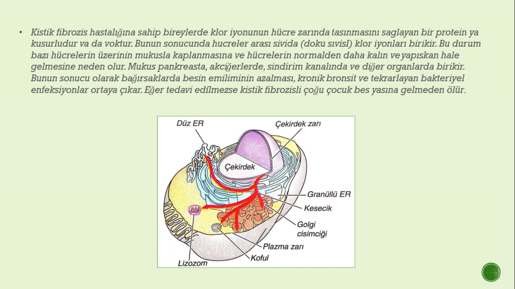 Organeller by Cansu - Ourboox.com