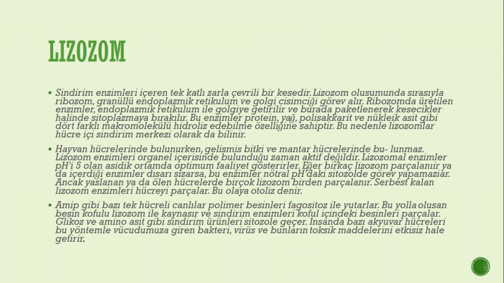 Organeller by Cansu - Ourboox.com