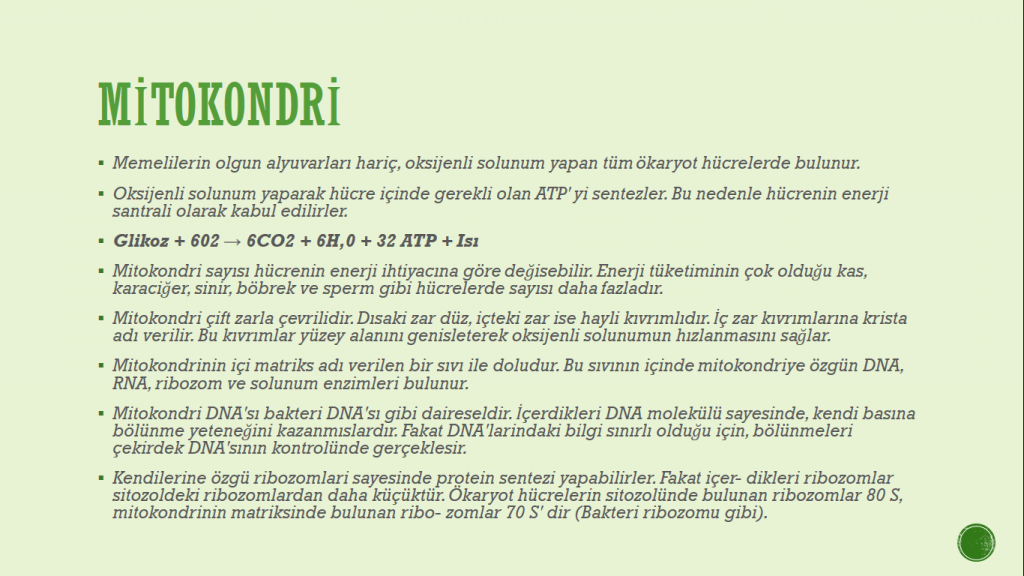 Organeller by Cansu - Ourboox.com