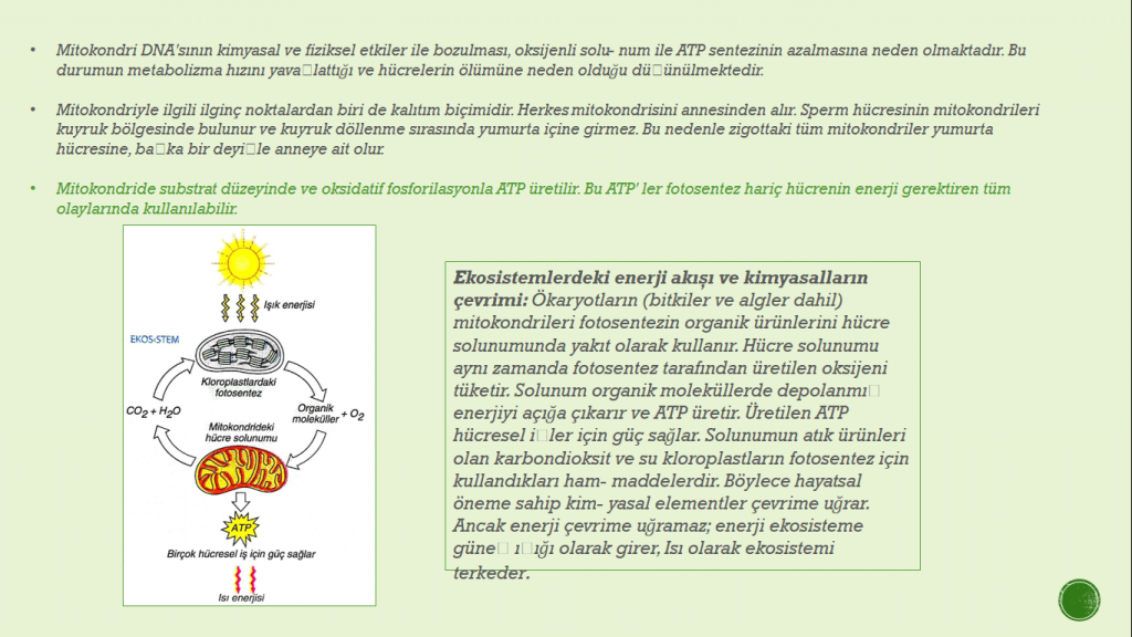 Organeller by Cansu - Ourboox.com