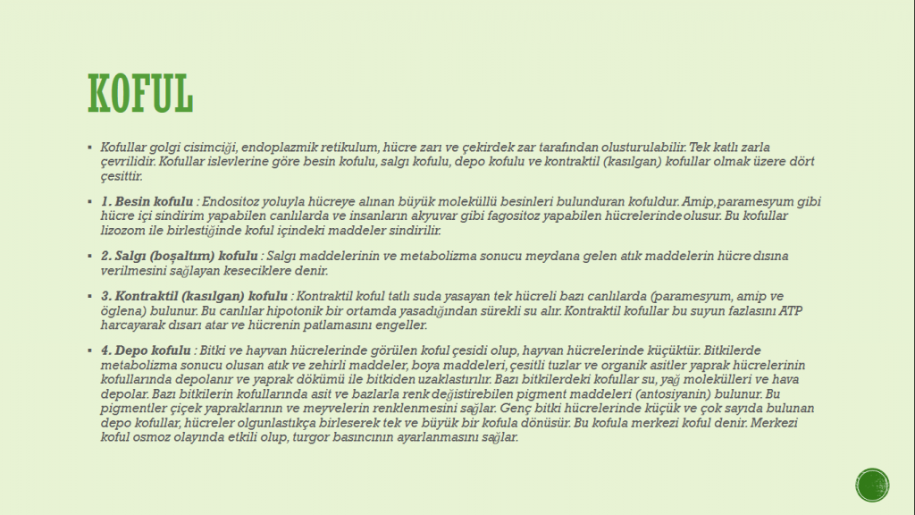 Organeller by Cansu - Ourboox.com