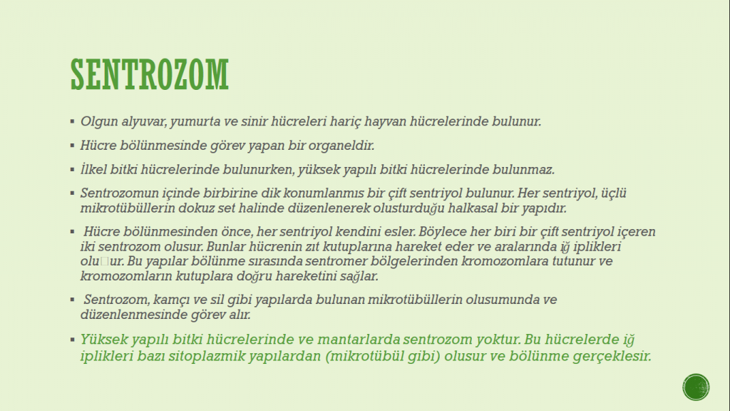 Organeller by Cansu - Ourboox.com