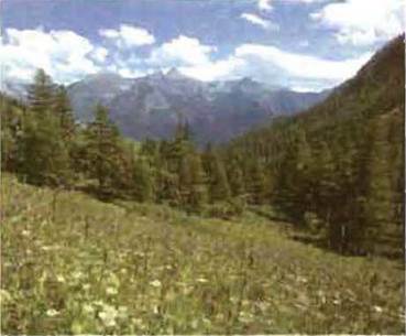 Географія by Bachkir Maxim - Ourboox.com