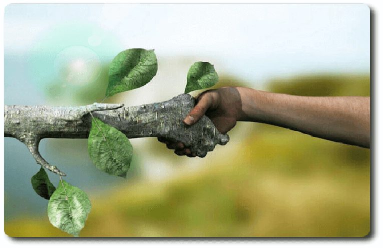 ÜMÜGÜLSÜM TOPRAK