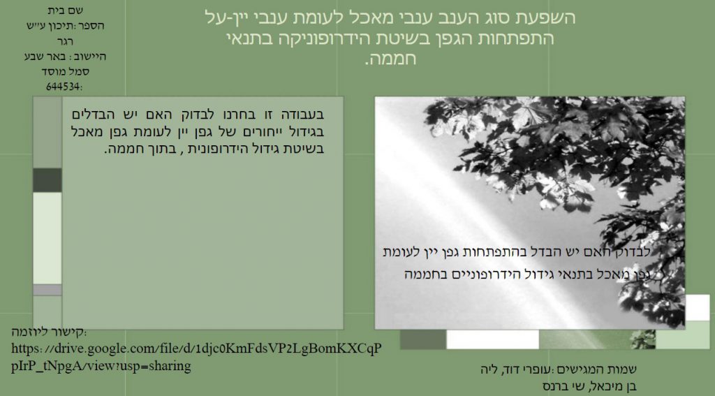 מחקרים נבחרים by dafnahs - Ourboox.com