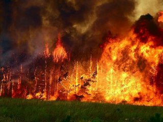 disasters in nature by barabolya oksana - Ourboox.com