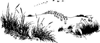 Мумі-альбом “Комета прилітає” by Arsen Musiychuk - Ourboox.com