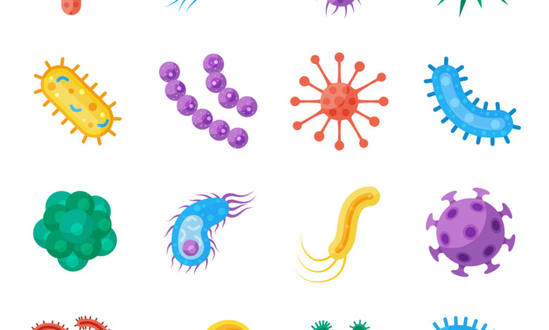 البيئة الحياتية by adamshikha - Ourboox.com