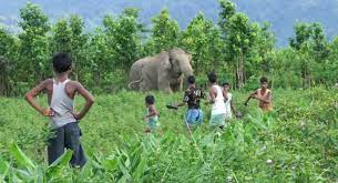 الكائنات الحية by namanh sahar - Ourboox.com