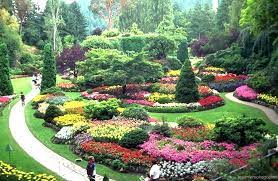 الكائنات الحية by namanh sahar - Ourboox.com