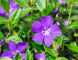 Прийменник як службова частина мови Синонімічні і антонімічні прийменники. Прийменниково – іменникові конструкції в ролі членів речення. Непохідні й похідні прийменники by oksana - Ourboox.com