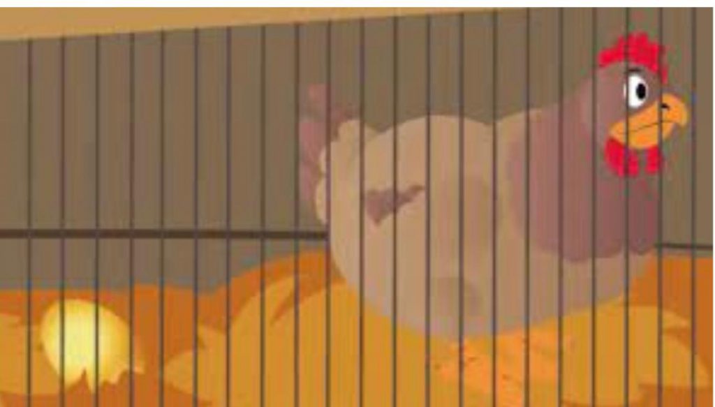 התרנגלת המוזהב by asala - Ourboox.com